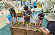img (7).jpg